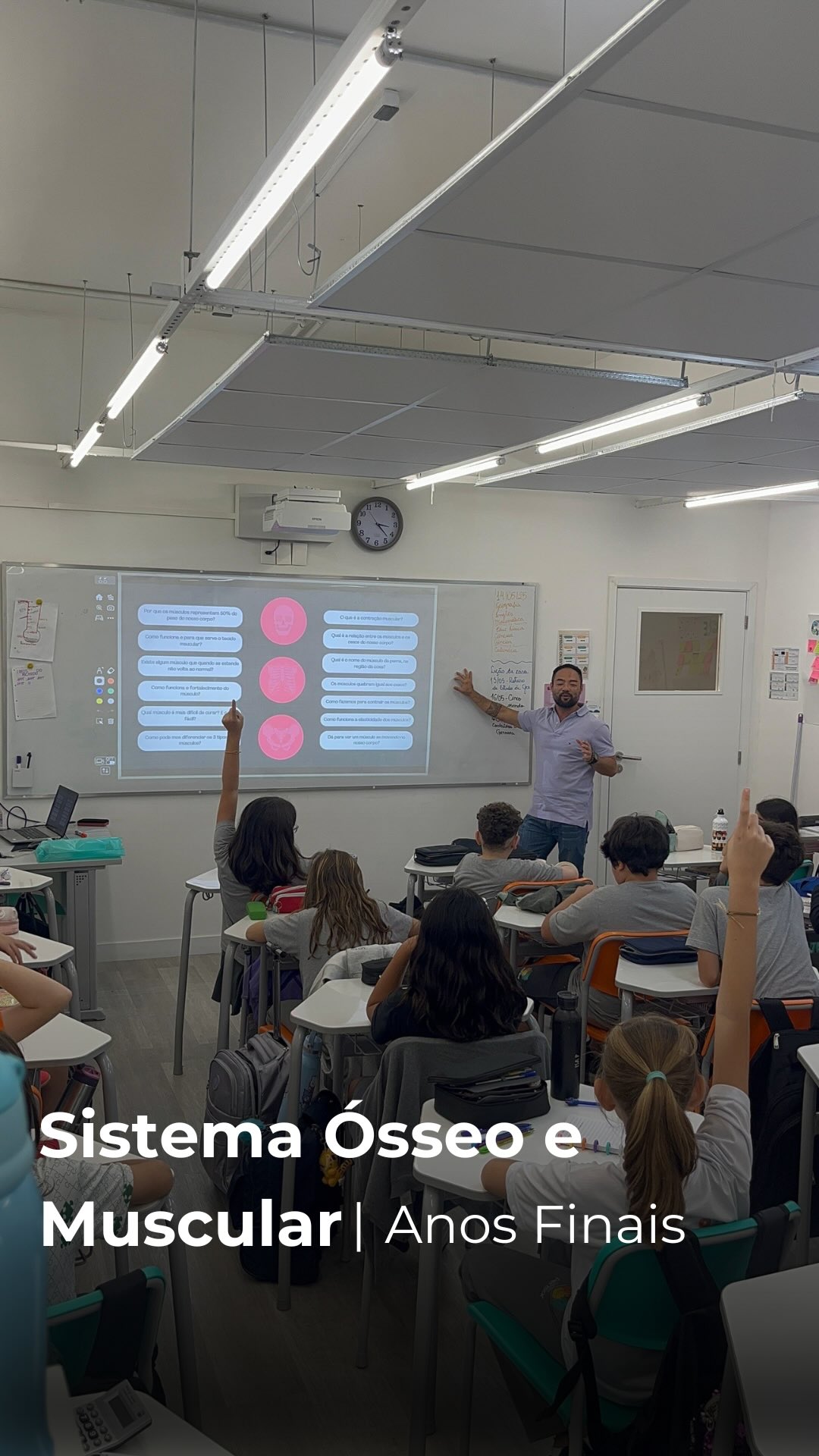 Sistema Ósseo e Muscular